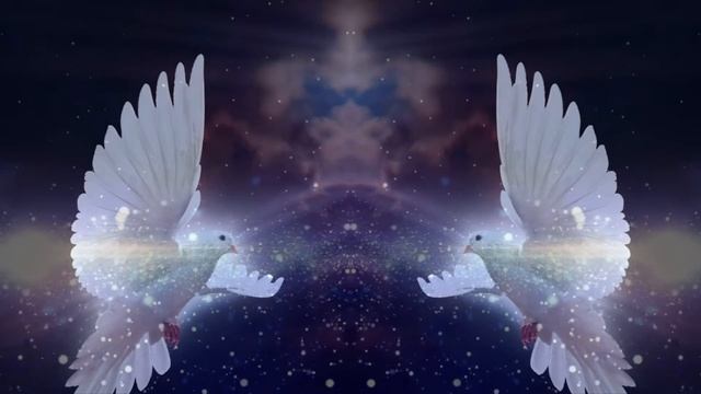 Футаж №469 Птицы Голуби смотреть онлайн