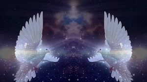 Футаж №469 Птицы Голуби