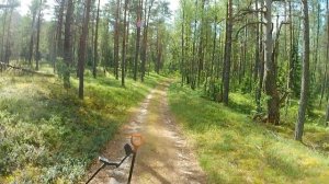 #101 "Крестовик" 5 копеек 1727 года. Нечастая монета.