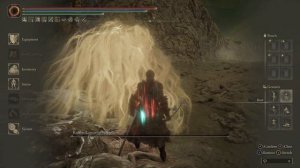 ELDEN RING CARIAN COMBO WARRIOR VS PROMISED CONSORT RADAHN (NG+7)