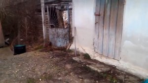 Дом в пос. Куйбышево, Бахчисарайского района, Республика Крым