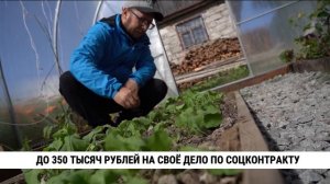 До 350 тысяч рублей на своё дело по соцконтракту