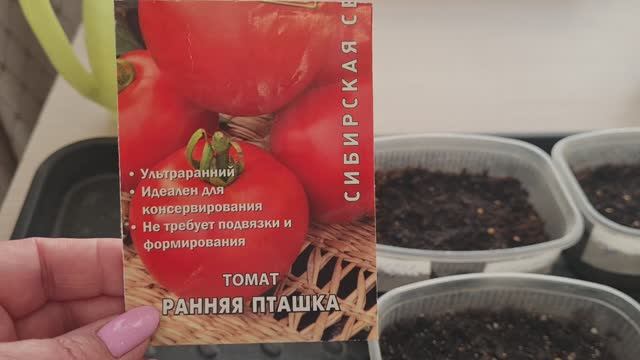 Посев томатов 14 марта, простым способом. Обзор рассады.