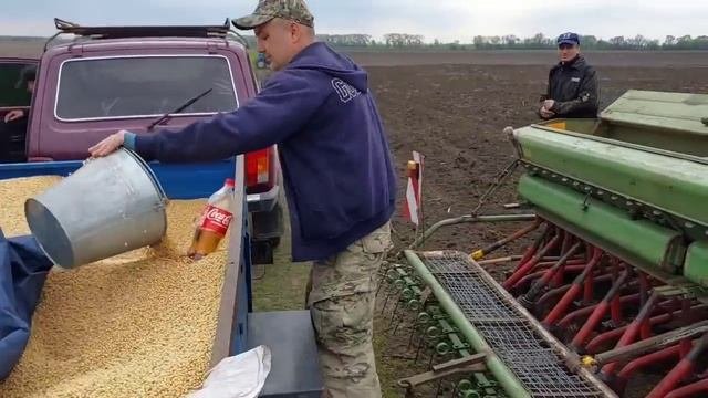 Сієм сою МТЗ 80 І МТЗ 892.2👍👍👍26.04.23
