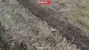 Как «Поток» вырвался из трубы