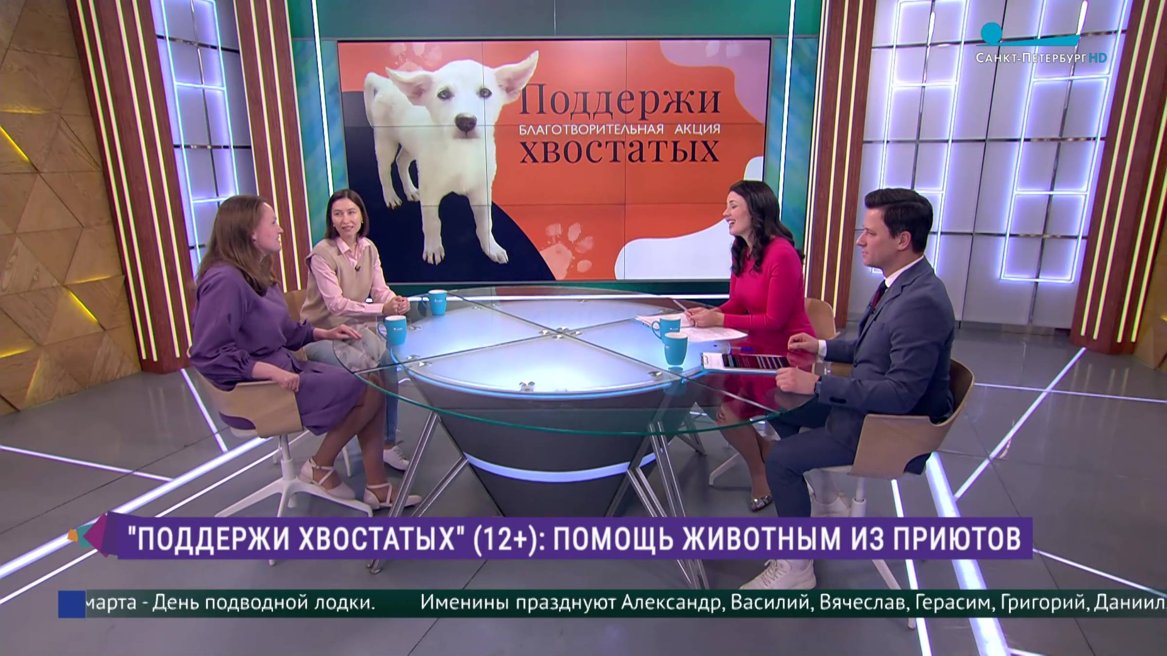 Поддержи хвостатых! Как взять четвероногого друга из приюта