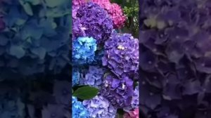 А-а весна! А-а это же Весна! А-а а-а сумашедший воздух!