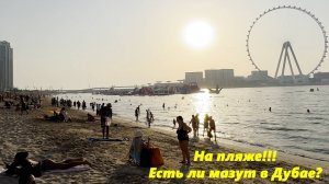 Есть ли мазут на пляжах Дубая? Дубай 2025.