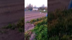 Авито БАНИТ аккаунты путем шантажа.Или фото вашего паспорта и видео в анфас и в профиль или бан