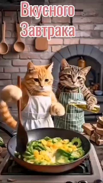 котики от нейросети готовят завтрак.mp4