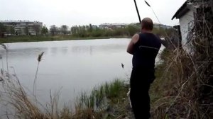 Фауна шоу-90