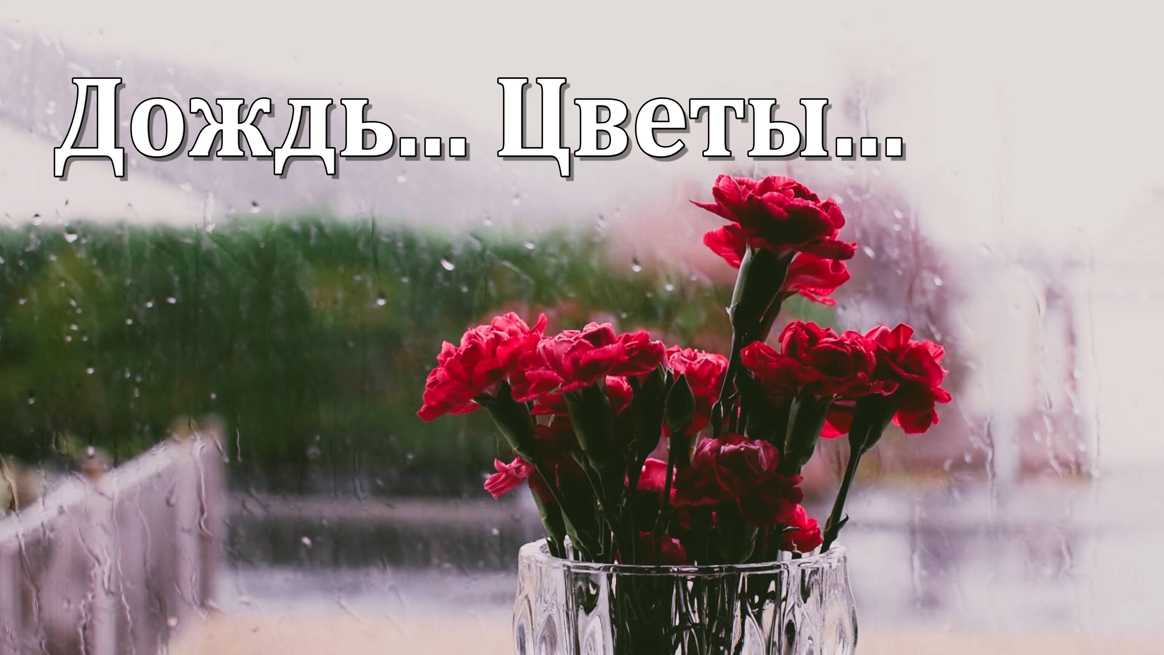 Дождь, Цветы и Спокойная Музыка | Расслабление и Глубокий Сон 🌧️🌸🌧️