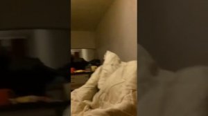 Заказали проститута 🔞