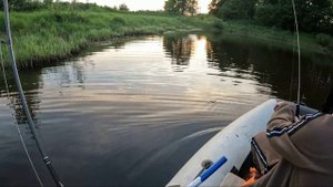 ОСОБЕННОСТИ рыбалки на Вятке на стоке с озера. Щука сама скачет в сачок.