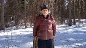 Энергетическая зарядка от деревьев
