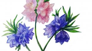 Рисую лесные цветы на лесной марафон акварелью.
