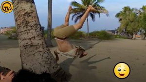 ПОЛНЫЕ ИДИОТЫ НА РАБОТЕ 😆 Лучшие неудачи Недели, Сборник Мгновенных сожалений о неудачах 2024