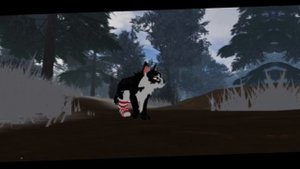 я решила меняю Лисью Звезду на Пёстрого Луча#кв идею взяла у Драконьего Клыка