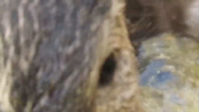 SAX SOLO 2 смотреть онлайн