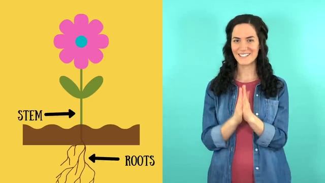 Parts of a flower song смотреть онлайн