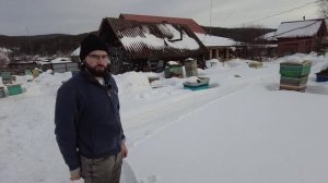 Очистили территорию от снега и выставили 100 пчелосемей, 15 марта 2025