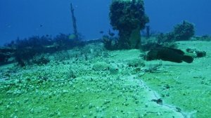 Корабельные рифы 5 серия «Искусственные рифы Мексики» (документальный сериал, 2016)