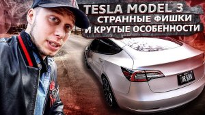 Делаем из Теслы нормальную машину / Работа в США / Новый досуг / Читаем инструкцию