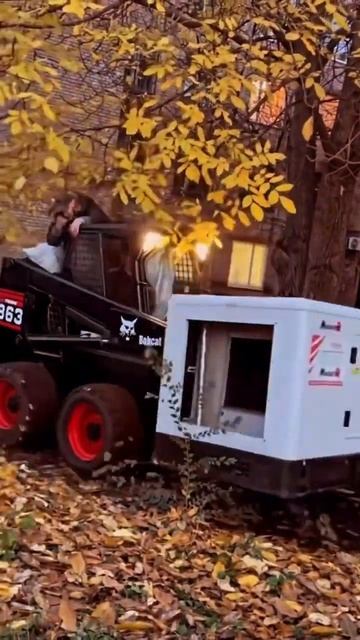 Мини погрузчик-вила-гидробур-гидромолот 0961113308 bobcat смотреть онлайн