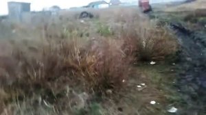 Трактор Т-4 алтаец