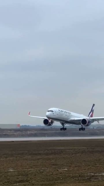 Мягко сел смотреть онлайн