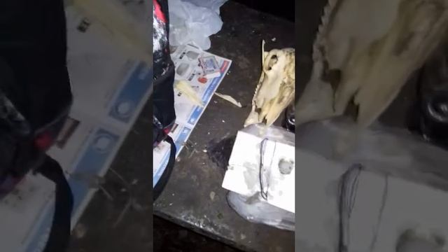 Порча на болезни.Вацап 89686229063