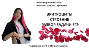 Эритроциты , задача про эритроциты человека и лягушки