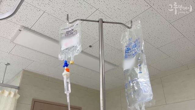 아빠가 응급실에 실려간걸 본 고양이 | 긴급 수술 смотреть онлайн