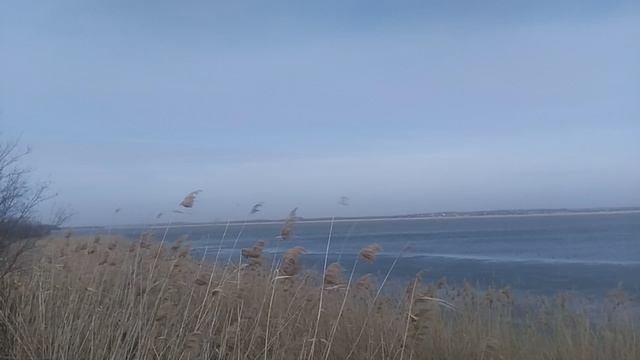 VID_20250306_132729