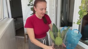 ВСЕ ЗРЯ ((( НОВЫЕ ПИТОМЦЫ ❤️ОПЯТЬ ПОДАРКИ / УБОРКА В КВАРТИРЕ / КЕТО ДИЕТА