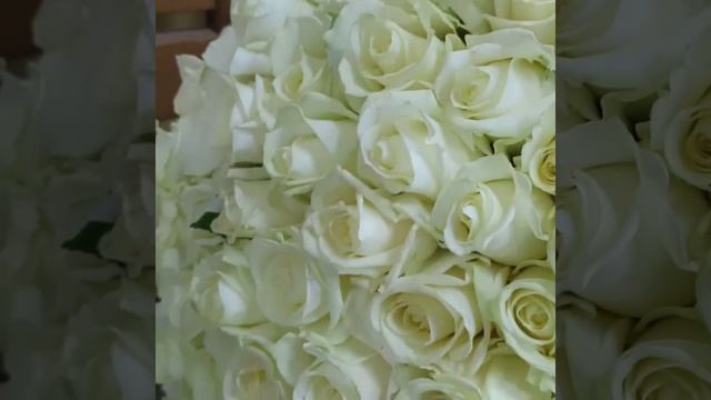 Букет из 101 белой розы Аваланж 50 см "Вдохновение" смотреть онлайн