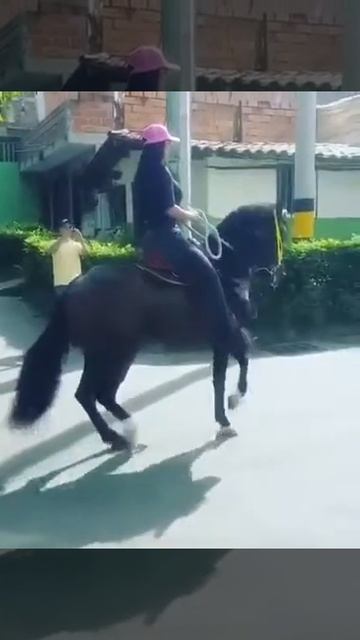 Танцующий Жеребец смотреть онлайн