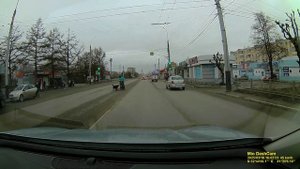 иностранец и собаки