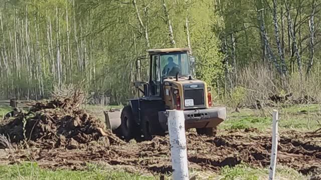 Архивное. Проект Булыгина. Тяжелый фронтальный погрузчик корчует березовые пни. 24042024.
