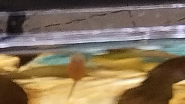 Рыбки смотреть онлайн