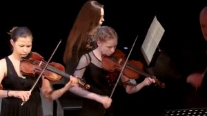 Камерный оркестр «Каприччио». Karl Jenkins, «Palladio»