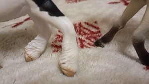 продолжение предводитель ненадолго 1 сезон 3 серия