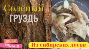 Соленый груздь с маслом и луком! Отличный вариант для разнообразия ПП рациона!