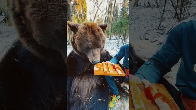 Блогера чуть не съел медведь