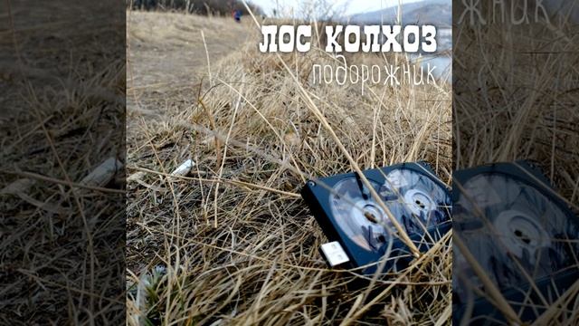 Лос колхоз - Не та звезда (альбом "Подорожник", 2024) смотреть онлайн