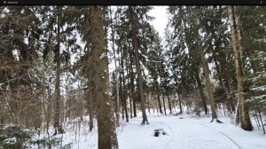 Зима вернулась❄️Нас штормит Ретроградный Меркурий повлиял.Самозапрет на кредиты отменят — копия