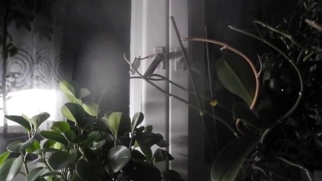 Темнота за окном смотреть онлайн