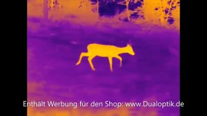 Wärmebildkamera | JSA Nightlux IR-635 VOx | kurze Produktvorstellung