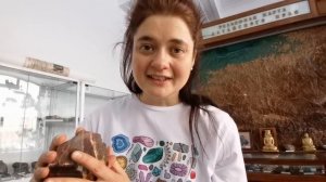 Детская экскурсия в геологический музей