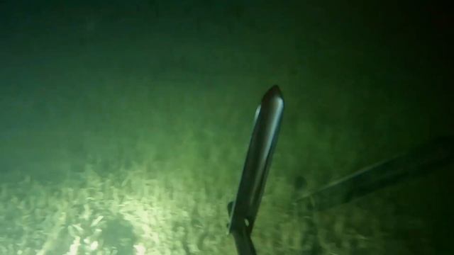 Первый выезд на подводную охоту в 2024г. Щука 5 кг. смотреть онлайн